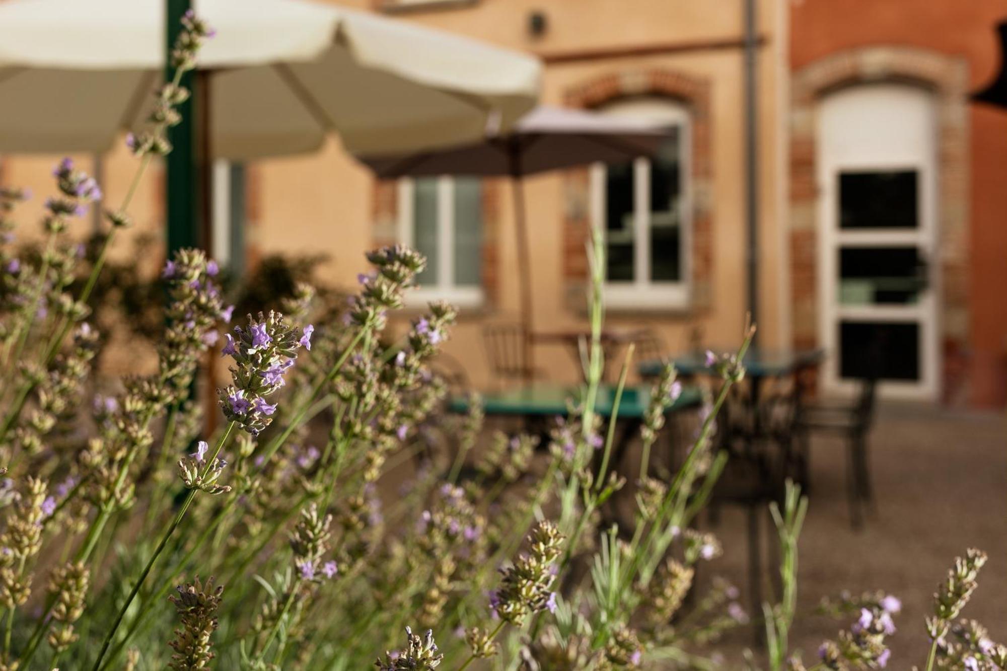 Ibis Styles Toulouse Lavaur Hotel Eksteriør billede